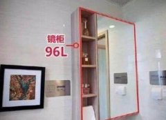 行业演讲和研究演讲：如中国财产消息网发布的